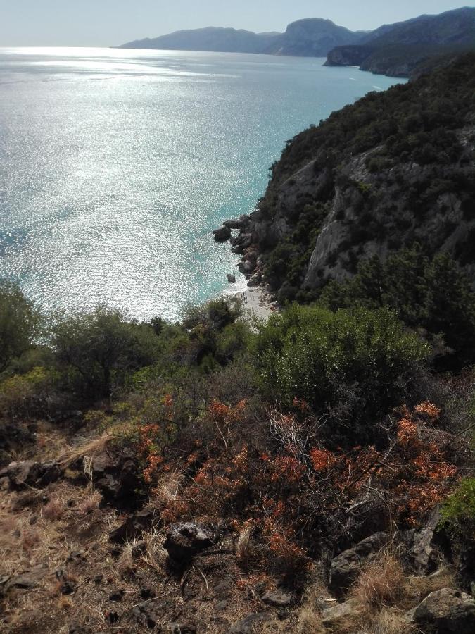 Monolocale Marizzola Apartment Cala Gonone