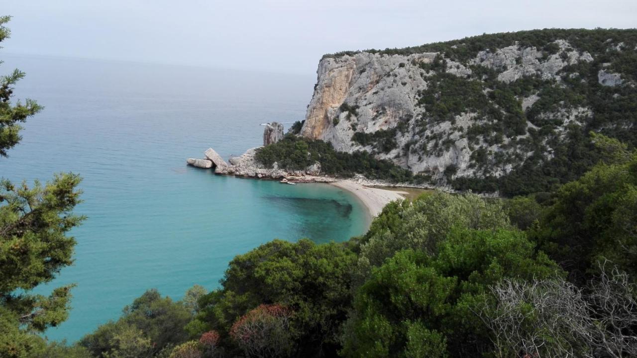 Monolocale Marizzola